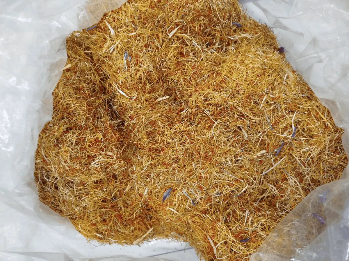 ریشه زعفران (۲.۳ گرمی)