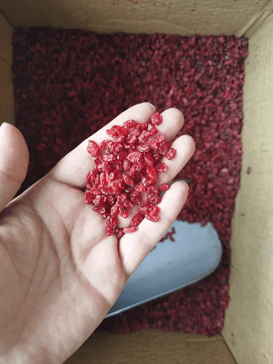 زرشک قائنات (نیم کیلو)