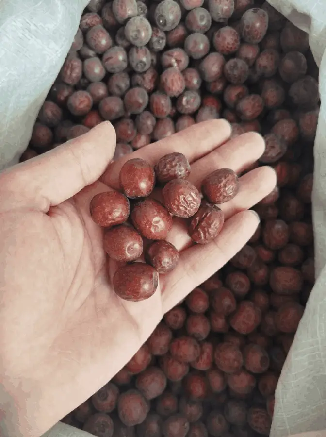عناب درشت (۲۵۰ گرمی)