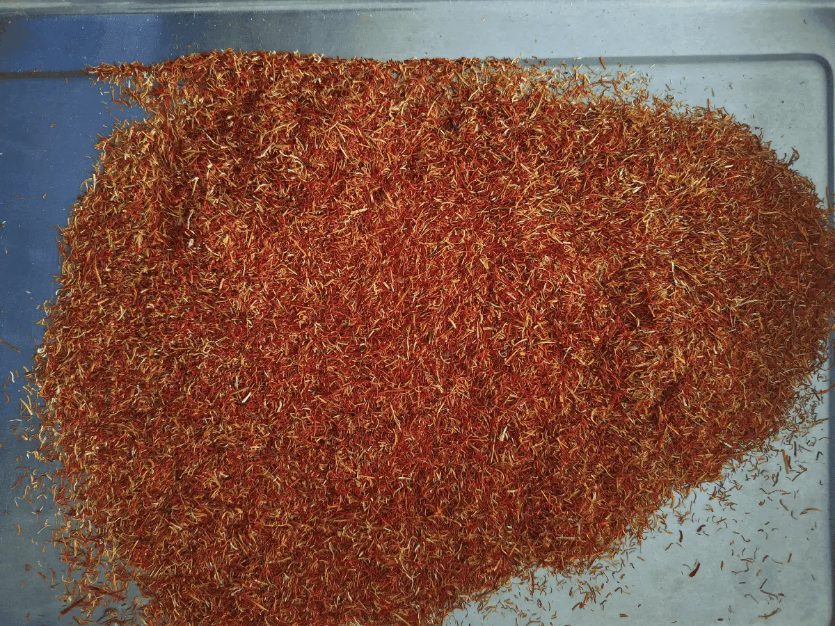 زعفران نرمه (۴.۶ گرمی)
